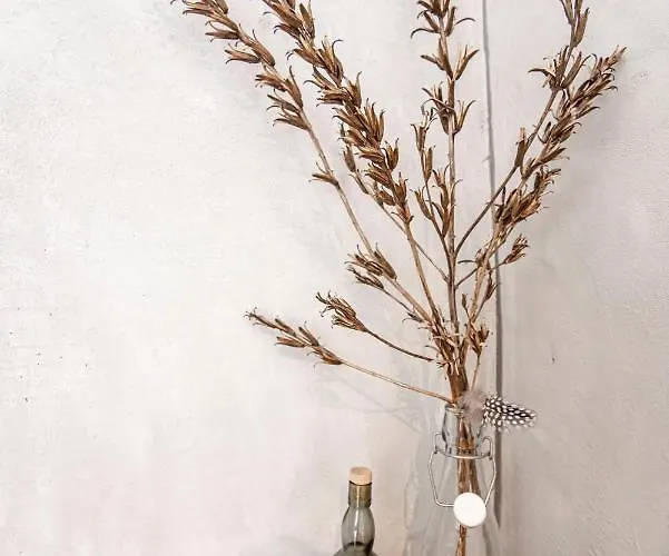 Be So Lejlighed Zandvoort