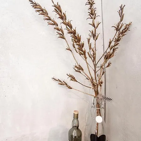 Be So 公寓 赞德沃特